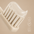 FlavSmiles Coconut Halo Flavor Fluoride Toothpaste 🥥